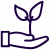 Grafik_Growth Grafik_Growth